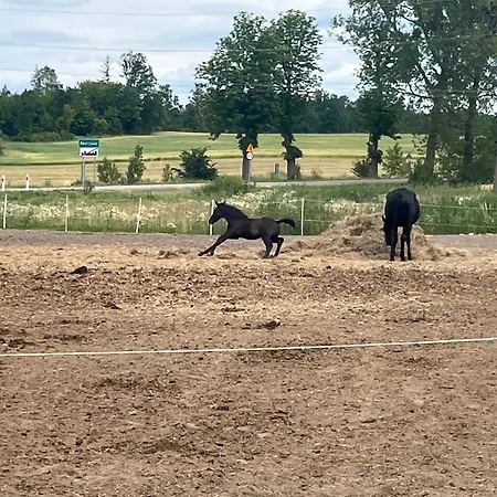 Campo de lujo Glamping W Sercu Mazur Z Prywatna Plaza